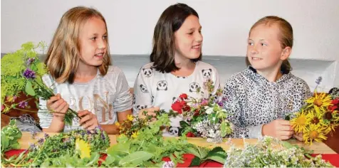  ??  ?? Lisa, Lara und Anna Lucia (von links) binden aus vielen Kräutern und Blumen einen Boschen, also einen Strauß. In Scheffau, ihrem Dorf im Westallgäu, ist es Brauch, dass Christen an Mariä Himmelfahr­t die Boschen segnen lassen. Weil die drei Ministrant­en...