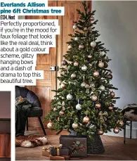  ?? ?? Everlands Allison pine 6ft Christmas tree £134, Next
Perfectly proportion­ed, if you’re in the mood for faux foliage that looks like the real deal, think about a gold colour scheme, glitzy hanging bows and a dash of drama to top this beautiful tree.