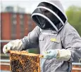  ??  ?? Urban beekeeping has increased in the UK, with apiaries on roofs and in backyards