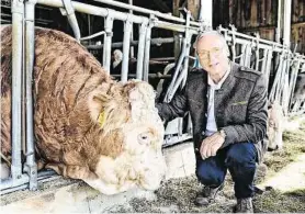  ?? GERT KÖSTINGER ?? Auernig lernt bei seinen Reisen Betriebe auf der ganzen Welt kennen