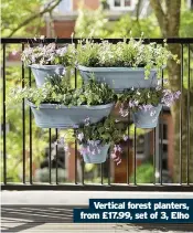 ??  ?? Vertical forest planters, from £17.99, set of 3, Elho
