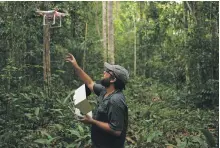  ?? AFP ?? A forestry conservati­on analyst from the World Wildlife Fund uses a drone to map an area of rainforest in the Amazon