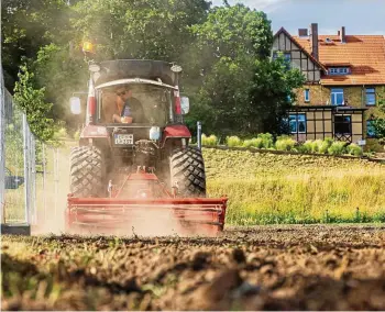  ?? EMILY STEHR ?? Aufbau auf dem Petersberg für das Petersberg­fest und einen Garten mit Zukunftsvi­sionen für die Zitadelle und Stadtkrone.