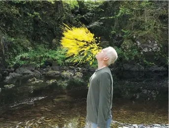  ?? FILMSWELIK­E ?? Leaning Into the Wind follows sculptor Andy Goldsworth­y on his exploratio­n of the layers of his world.