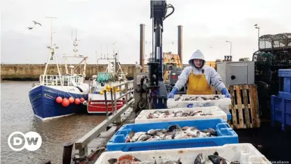  ??  ?? Fishing bait being unloaded at Bridlingto­n Harbor in Yorkshire