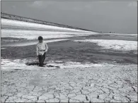  ??  ?? SUFFERING NATURE: The cracked and parched Staines Reservoir in Middlesex, in 1976. Scientists have analysed its drastic effect on insects.