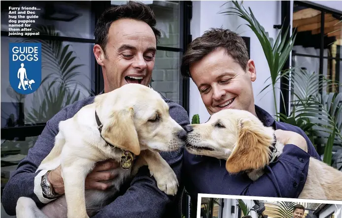  ??  ?? Furry friends... Ant and Dec hug the guide dog puppies named for them after joining appeal