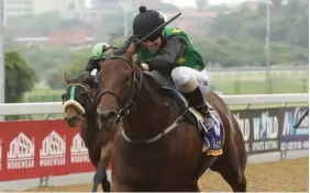  ?? /GOLD CIRCLE ?? Anton Marcus’s winning streak is set to continue when he rides Champenois in Race 7 at Greyville.