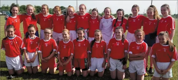  ??  ?? The Louth U-12 squad.