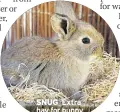  ??  ?? SNUG Extra hay for bunny
