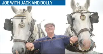  ??  ?? Joe Doherty with his Horses ‘Jack’ and ‘Dolly’ at The Knockbridg­e Vintage Rally.