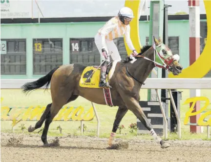  ?? (Photos: garfield robinson) ?? Abigail Able standing tall in the saddle atop Top Eagle.