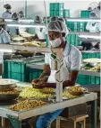  ??  ?? Die Cashew Verarbeitu­ng ließ in der Stadt Mim in Ghana neue Jobs entstehen.