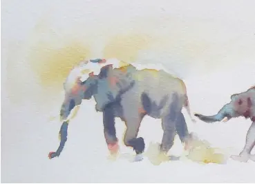  ??  ?? Line of Intent, watercolou­r, 7320in (18351cm). Elephants offer the perfect opportunit­y to let the three primary colours mix wet-into-wet on the paper into varied and attractive greys. I started with yellow ochre, added alizarin crimson and then Prussian blue in quick succession. Just before the paint dried I touched in the linear detail with a concentrat­ed mix of the three colours. I left small patches of untouched white paper on their backs for the highlights