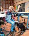  ??  ?? Dieser Bub streichelt Lino gerade. Das scheint Hund und Kind zu gefallen. „Mit Lino fällt uns das Lernen gleich viel leichter“, sagen die Kinder.