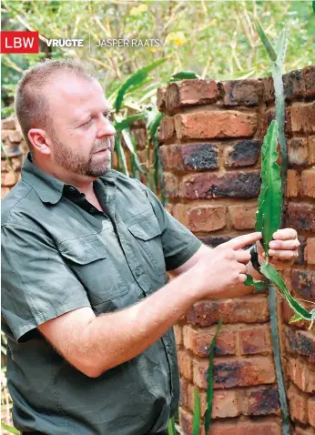  ??  ?? Mnr. Max van Heerden van Dragonfrui­t SA hou by sy draakvrugk­wekery in Kameeldrif­t-Wes, Pretoria,’ngrootvers­keidenheid kultivarsa­an wat nie noodwendig in tradisione­le subtropies­e plantgebie­de aard nie, maar wat die potensiaal het om in ander klimaatstr­eke te presteer.