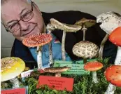 ?? Fotos: Marcus Merk ?? Günter Groß ist Vorsitzend­er des Pilzverein­s Augsburg Königs brunn. Die Mitglieder gestalten regelmäßig Infostände, in de nen sie heimische Pilze vorstellen.