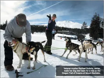  ??  ?? Veteran musher Rachael Scdoris, center, loads her dog sled team for a ride on the Oregon Trail of Dreams at Mount Bachelor.