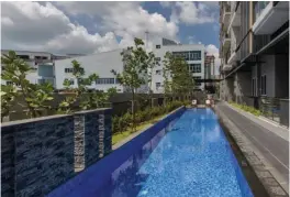  ?? SAMUEL ISAAC CHUA/THE EDGE SINGAPORE ?? The 20m lap pool at Jervois Treasures