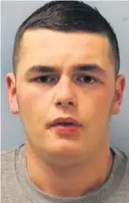  ?? PHOTOS: MET POLICE ?? John Flynn, 28, from Hayes, and 18-year-old Daniel Flynn, 18, from Northolt