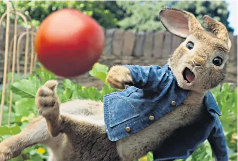  ??  ?? Peter Rabbit, voiced by James Corden, is seen in the film throwing blackberri­es at Tom, his nemesis, who has an allergy to the berries