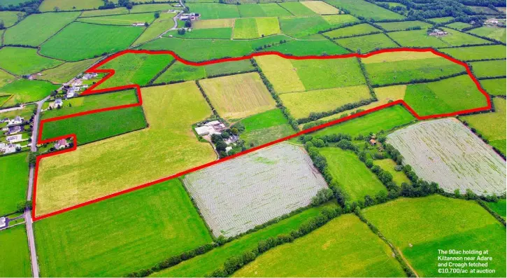  ??  ?? The 90ac holding at Kiltannon near Adare and Croagh fetched €10,700/ac at auction