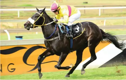  ??  ?? FLYING HIGH. Memphis Belle gets her name from a Second World War bomber and could blast her competitio­n away in Race 7 at the Vaal Classic today.