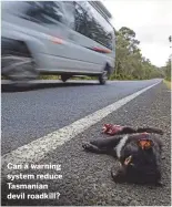  ??  ?? Can a warning system reduce Tasmanian devil roadkill?