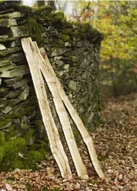  ??  ?? ABOVE The trunks of the local oak trees that Lorna fells are split lengthways into quarters or sixths, then softened so they can be pulled apart by hand to produce the thin, veneer-like strips, which are woven together to create her attractive baskets