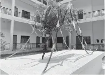  ?? REUTERS ?? A giant sculpture of a mosquito is pictured in the courtyard of scientist Jessica Manning’s lab space, near Phnom Penh, Cambodia.