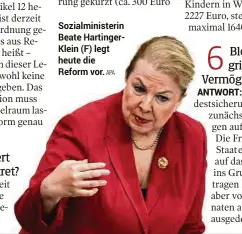  ?? APA ?? Sozialmini­sterin Beate HartingerK­lein (F) legt heute die Reform vor.