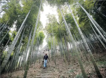  ?? DANIEL GROSHONG ?? Visitors come to Moganshan to explore its bamboo forests and abandoned homes. Only three hours from Shanghai, the area now boats a handful of resorts that build upon the natural beauty and the intriguing history of this region of China.