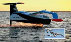  ?? ?? Ocean Flyer has ordered 25 electric seagliders for the New Zealand market. Inset: Northern New Zealand Seabird Trust’s Chris Gaskin says the gliders ‘‘undoubtedl­y pose a massive threat’’ to seabirds.