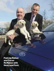  ??  ?? Padraig Mallon and Ciaran McMahon with Henry and Ford.