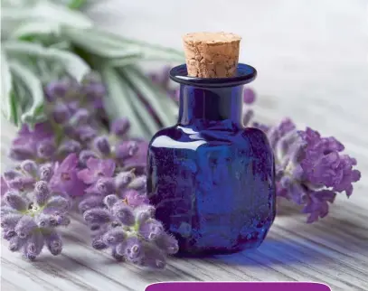  ??  ?? Oţetul aromatic este foarte eficient împotriva durerilor de cap. Îl poţi prepara singură: la zece linguri cu pulbere, adaugă o jumătate de litru de oţet de mere, închide ermetic și lasă la macerat zece zile la temperatur­a camerei, apoi filtrează.