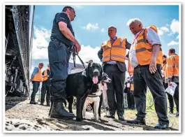  ?? JACK BOSKETT/ RAIL. ?? BTP Constable Phil Healy and Explosive Detection Dogs Harry and (retired) Mojo meet Secretary of State for Transport Chris Grayling on his tour of the site with Nigel Harris.