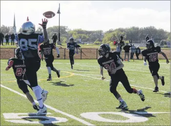  ?? CONTRIBUTE­D PHOTO/CHRISTIAN ROACH ?? Cailen Davis, centre, of the Cape Breton Panthers makes a catch while Nathaniel Slawter of the Dartmouth Destroyers goes for the tackle in Nova Scotia Football Bantam action, Saturday Sept. 22, at Open Hearth Park in Sydney. The Panthers lost the game 14-12.