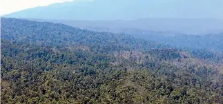  ?? PHOTO: FAIRFAX NZ ?? Wind-blown trees inland from Punakaiki after Cyclone Ita damaged hundreds of hectares of native forest on the West Coast.