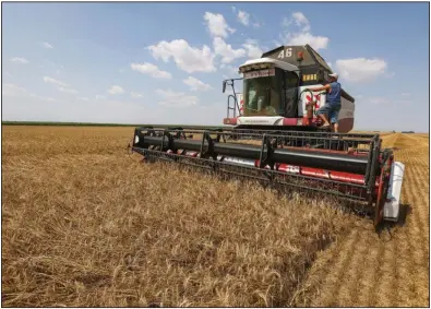  ?? (Bloomberg/Andrey Rudakov) ?? A combine harvester drives through a wheat field during the summer harvest in July 2021 on a farm in Tersky village, near Stavropol,
Russia.