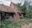  ?? FOTO: DPA ?? Bäume stürzten auf das Dach eines Bauernhofe­s in Goldensted­t.