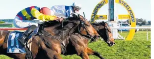  ?? Photo / Race Images ?? Tramore (outside) and Ashvin Mudhoo was just pipped at the post by Amathusia and Johnathan Parkes in the $30,000 Balance Accounting (2060m) at the weekend.