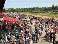  ??  ?? Sunny skies and comfortabl­e weather helped produce a large Travers Day crowd.