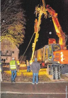  ?? FOTO: DANIELA BITTNER ?? Der Narrenbaum in Neunheim steht.