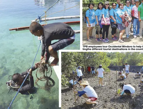  ??  ?? Underwater cleanup at Sablayan port. Mangrove identifica­tion and planting activity.