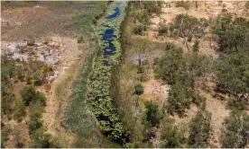  ?? Photograph: Brendan Beirne ?? The Doongmabul­la Springs near Adani’s Carmichael coalmine site with dust visible from land clearing operations. The springs are a sacred site for Wangan and Jagalingou people.