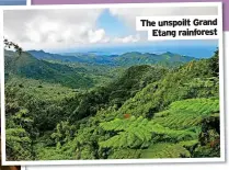  ?? ?? The unspoilt Grand Etang rainforest