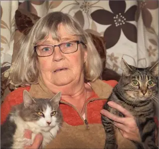  ??  ?? Dolores Doyle at her home in Sean O’Byrne Park in Gorey with her two cats that survived. Three kittens died by apparent poisoning.