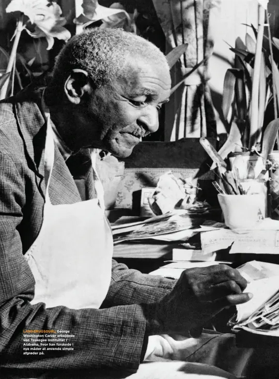  ??  ?? LANDBRUGSG­URU George Washington Carver arbejdede ved Tuskegee Institutte­t i Alabama, hvor han forskede i nye måder at anvende simple afgr ø der påV.