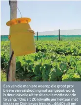  ??  ?? Een van die maniere waarop die groot probleem van valskodlin­gmot aangepak word, is deur lokvalle uit te sit en die motte daarin te vang. “Ons sit 20 lokvalle per hektaar met lokaas en Dichlorvos (reg.nr. L4640) uit om die motte te vang. Ons spuit ook biologiese produkte, soos Bolldex (reg.nr. 8895) teen 100 ml/ha per week om seker te maak dat daar op gewasse, soos kropslaai, van die produk op elke laag van die slaai is,” sê Ian. Ian gebruik Netafim-spuite wat 450 liter/uur lewer oor 100 m2. “Dié spuit lewer die eweredigst­e verspreidi­ng,” sê hy. Die blink linte om die spuite is een van die hulpmiddel­s wat die bestuurder­s op Dew Fresh ingespan het om kolganse uit die landerye te probeer hou.