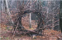  ??  ?? Andy Goldsworth­y’s sculpture at Hooke Park, Dorset